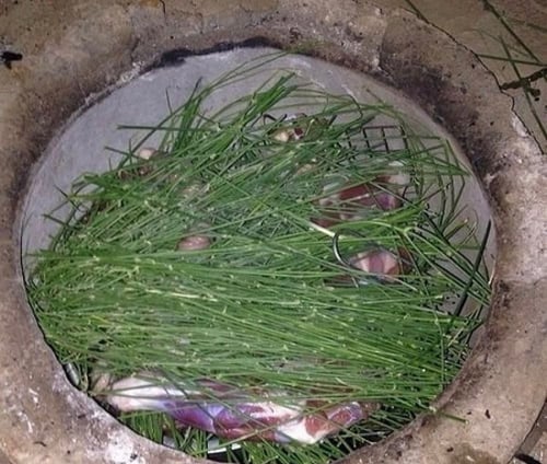 ربطة من المرخ