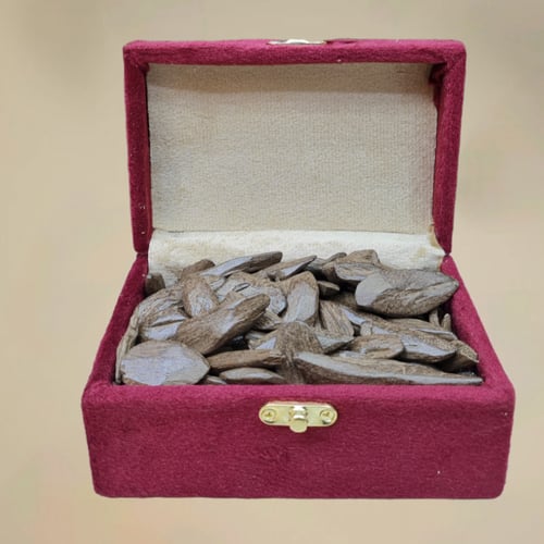 عرض راس السنه