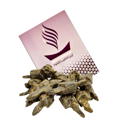 عود السنافي كلمنتان