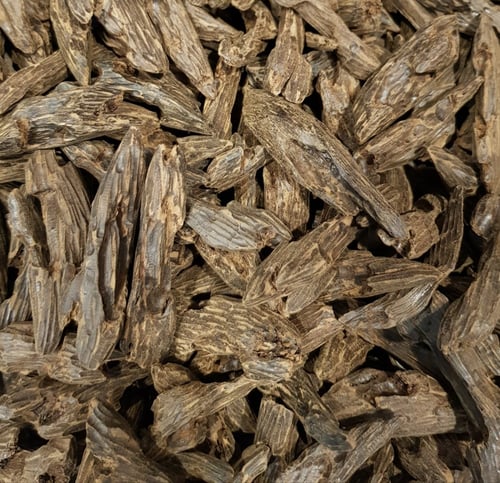 عود ماليزي سوبر مرتفع