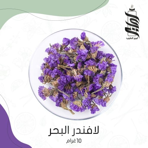 «لافندر البحر »