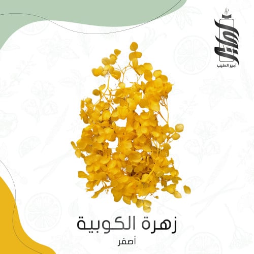 «زهرة الكوبية أصفر»