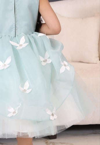 فستان الفراشه + اكسسوار شعر