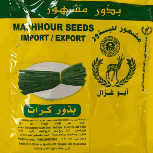 بذور كراث