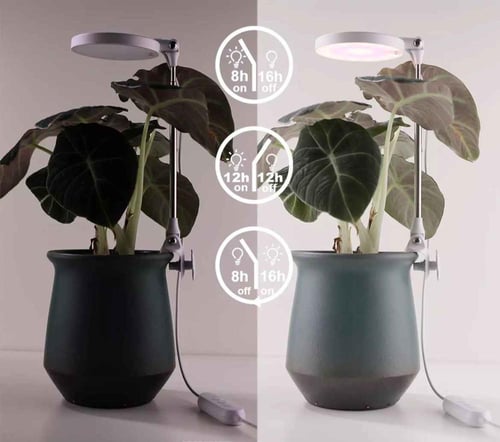 إضاءة نبات Grow light