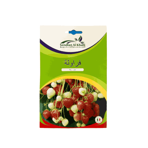 بذور فراولة إيطالى