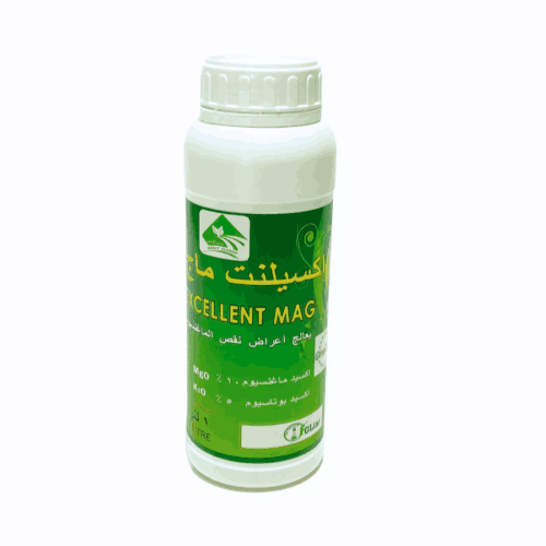 إكسيلنت ماج