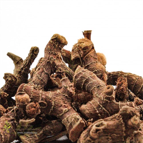 خولنجان صغير