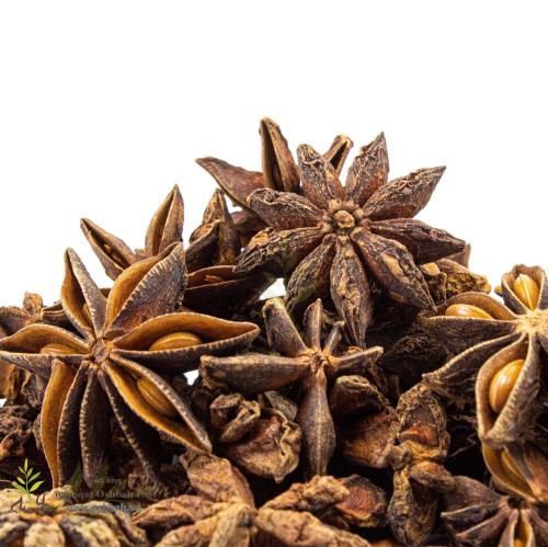 نجمة الينسون