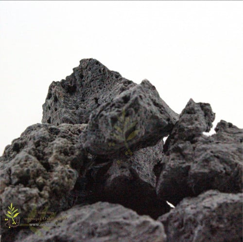 شبه سوداء حجر