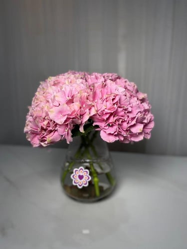 مزهرية إيلان