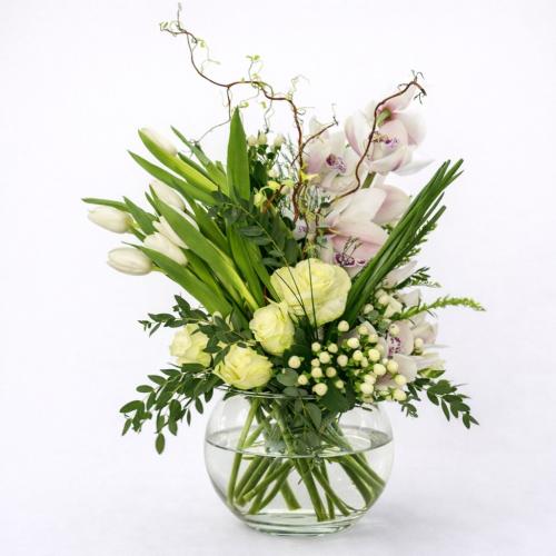 لؤلؤة الصفاء