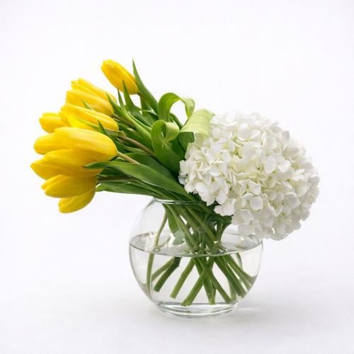 اشراقة الصباح