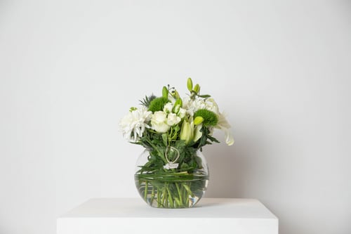 مزهرية نقاء الكون