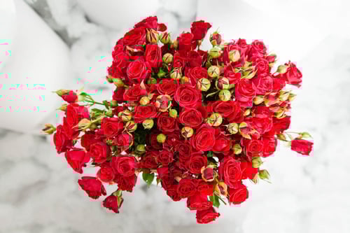 مزهرية اناقة البيبي روز