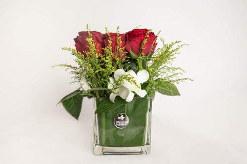 مزهرية التخرج ربيع القلب