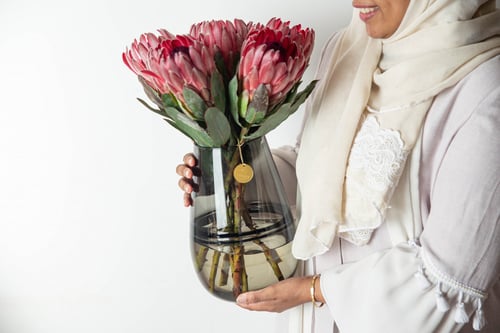 مزهرية جمال البروتيا