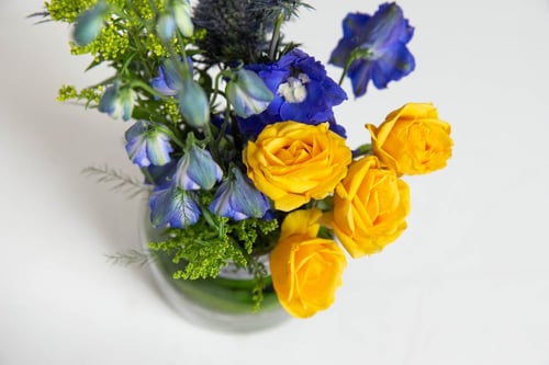 مزهرية تناغم الالوان