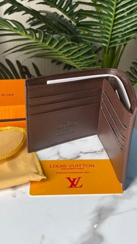 محفظه بني LV