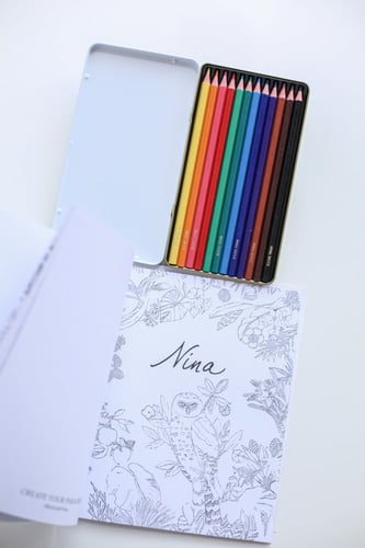 دفتر تلوين مع الوان ماركة نينا ريتشي