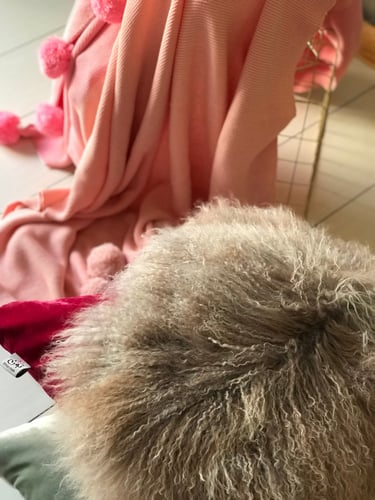 بطانية روزي محبوكة مزينة بكور البوم بوم