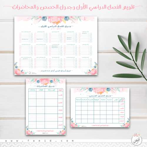 بوكس الأناقة