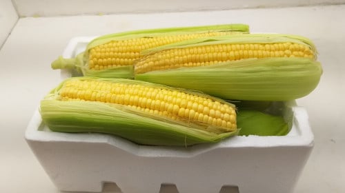 فلين ذره حلوه