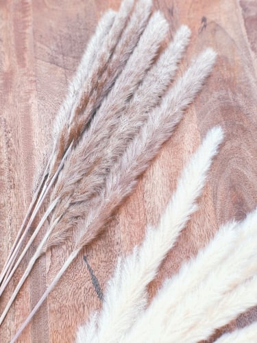 مجموعة اغصان بامباس صغير " لون بني "