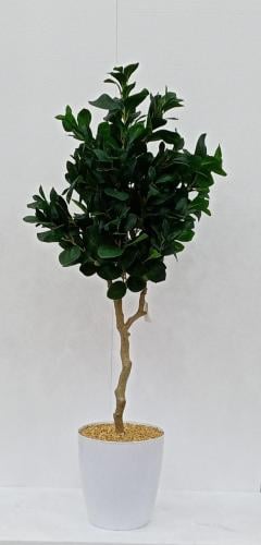 شجرة ورق شجر مع قاعدة بلاستيك ارتفاع 120 سم العرض...