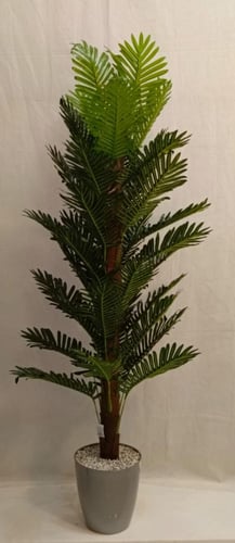 شجرة نخلة مع قاعدة بلاستيك الارتفاع 180 سم العرض 6...