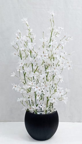 شجرة ورد مع مركن اصيص ارتفاع 65 سم العرض 20 سم