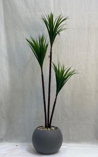 مركن ورق الصبار الارتفاع 150 سم العرض 40 سم