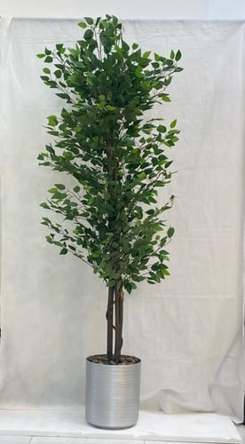 شجرة ليمون مع مركن فيبر ارتفاع 210 سم العرض 70 سم