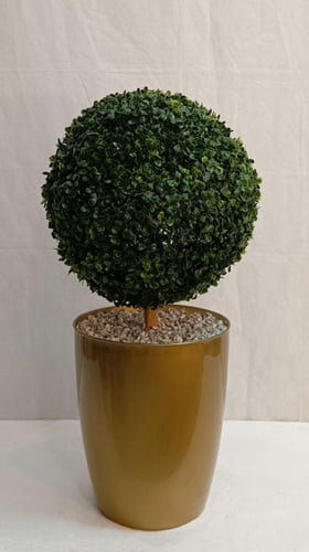 شجرة كورة مع قاعدة بلاستيك الارتفاع 60 سم العرض 30...