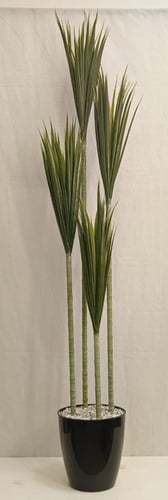 شجرة صبار مع قاعدة بلاستيك رتفاع170 سم عرض الشجره...