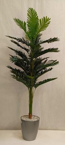 شجرة نخلة مع قاعدة بلاستيك ارتفاع 160سم العرض 55 س...