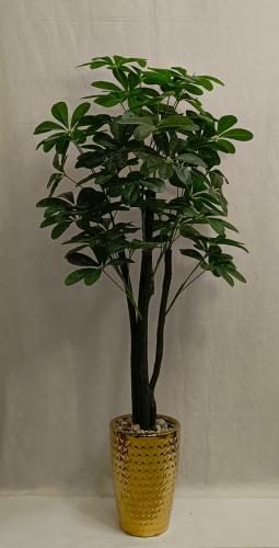 شجرة نجمة مع مركن سيراميك الارتفاع 155 سم العرض 50...