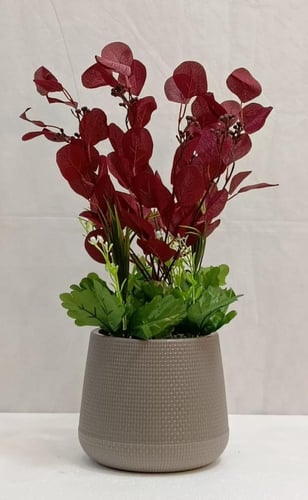 شجرة ورد مع حوض بلاستيك الارتفاع 50 سم العرض 25 سم