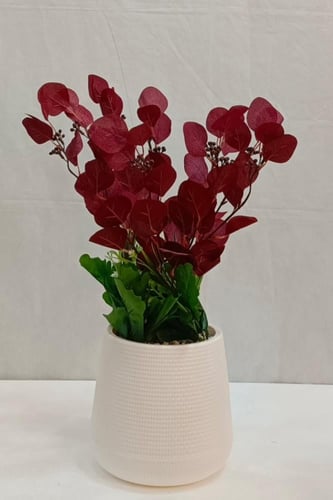 شجرة ورد مع حوض بلاستيك الارتفاع 50 سم العرض 25 سم