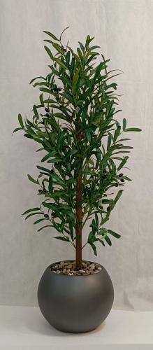 مركن اصيص زيتون الارتفاع 120 سم العرض 50 سم