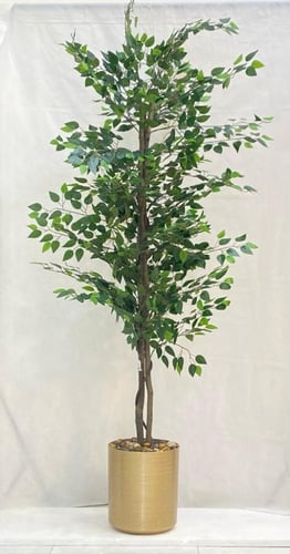 شجرة ليمون مع مركن فيبر ارتفاع 210 سم العرض 70 سم