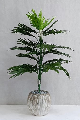 شجرة نخلة مع مركن سيراميك الارتفاع 80 سم العرض 35...