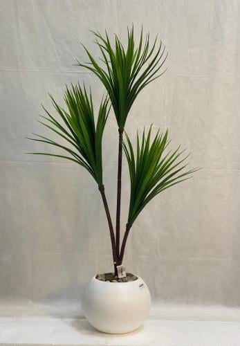 شجرة الصبار مع مركن اصيص الارتفاع 105 سم العرض 40...