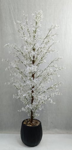 شجرة ورد مع مركن اصيص ارتفاع 170 سم العرض 50 سم