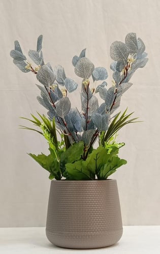 شجرة ورد مع حوض بلاستيك الارتفاع 50 سم العرض 25 سم