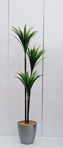 شجرة صيار مع قاعدة بلاستيك ارتفاع 150 سم عرض الشجر...