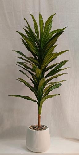 شجرة ورق ذرة مع حوض بلاستيك الارتفاع 160 سم العرض...