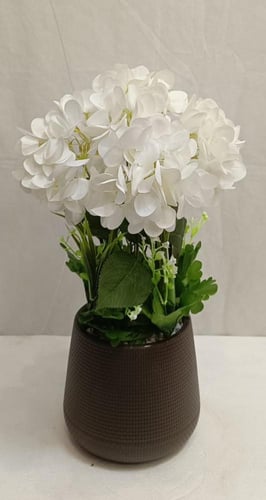 شجرة ورد مع حوض بلاستيك الارتفاع 50 سم العرض 25 سم