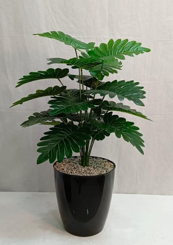 شجرة ورق نجمة مع قاعدة بلاستيك أرتفاع 85 سم