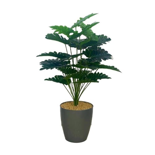 شجرة ورق نجمة مع قاعدة بلاستيك أرتفاع 85 سم